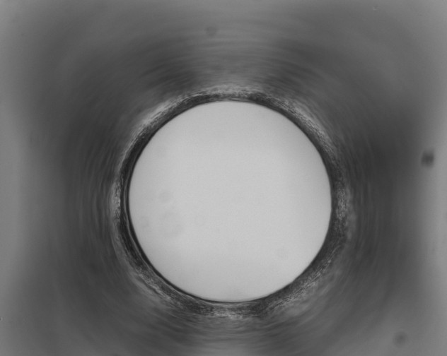 X0000098040632200803280755
