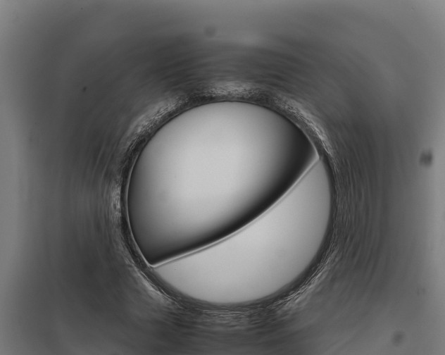 X0000098040633200803280755