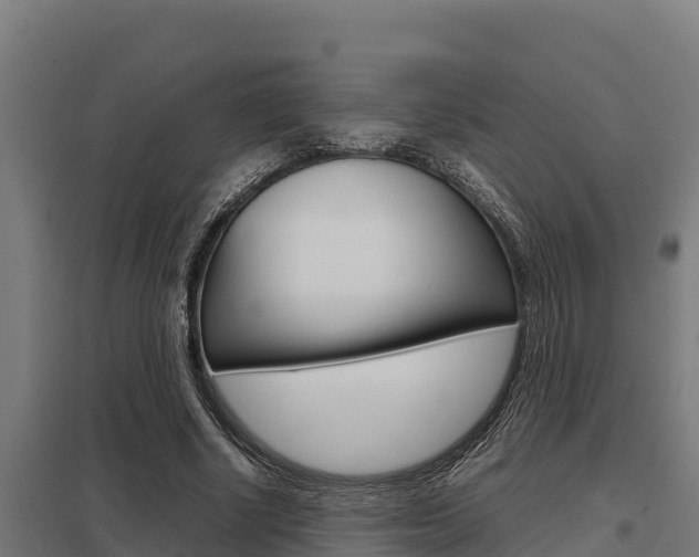 X0000098040634200803280755