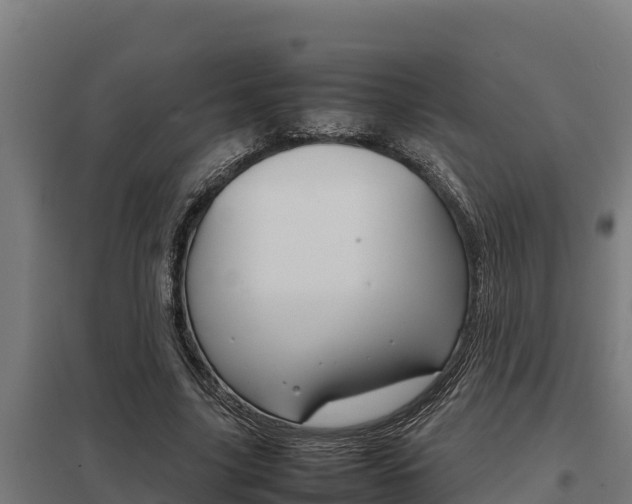 X0000098040635200803280755