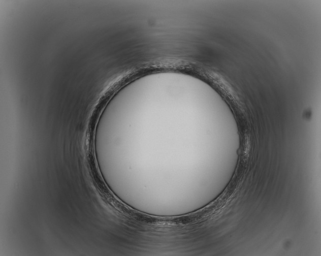 X0000098040636200803280755