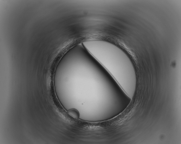 X0000098040637200803280755