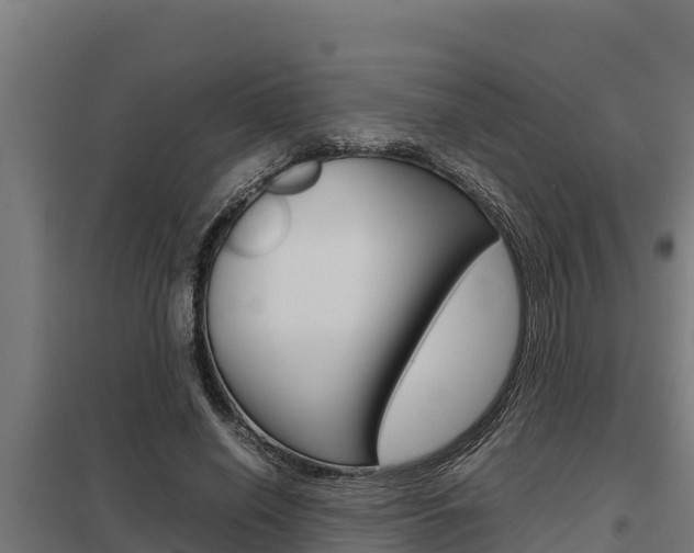 X0000098040638200803280755