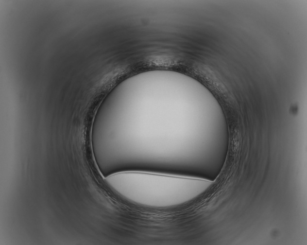 X0000098040639200803280755