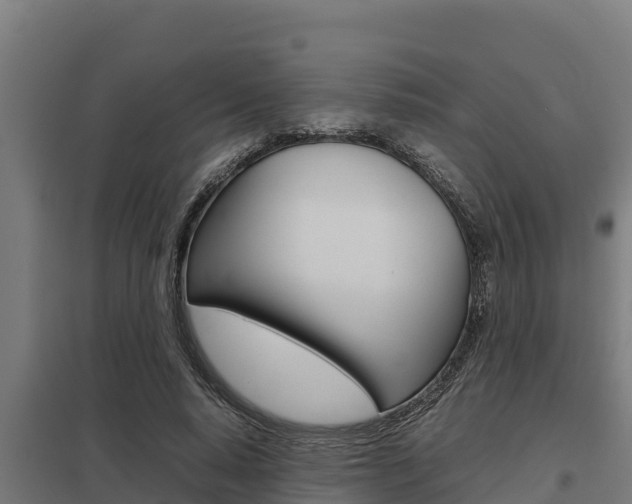X0000098040640200803280755