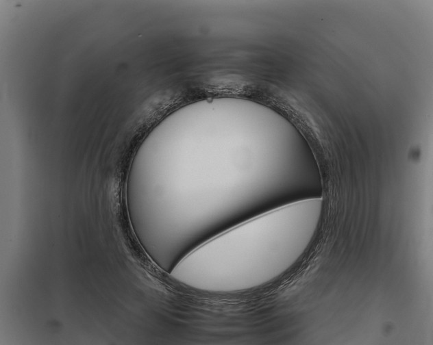 X0000098040641200803280755