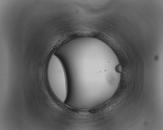 X0000098040642200803280755