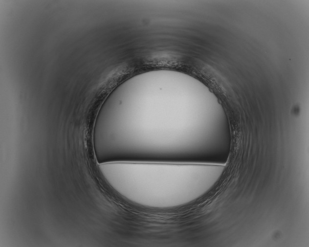 X0000098040643200803280755