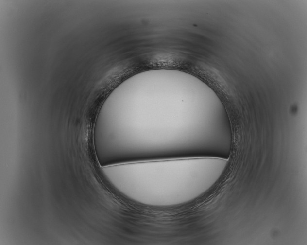 X0000098040645200803280755