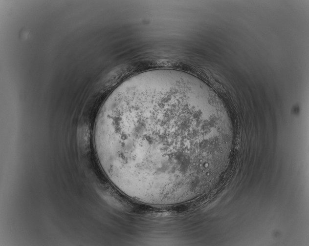 X0000098040646200803280755