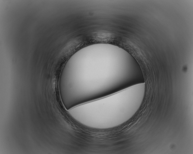 X0000098040647200803280755