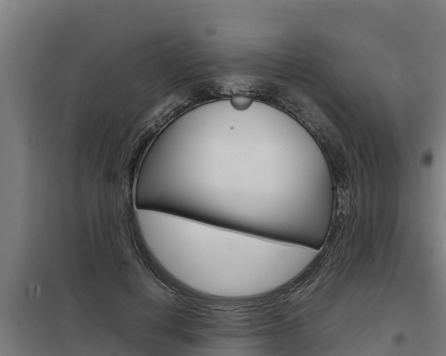X0000098040648200803280755