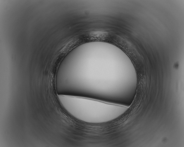 X0000098040649200803280755