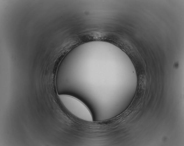 X0000098040650200803280755
