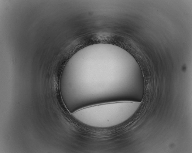 X0000098040651200803280755