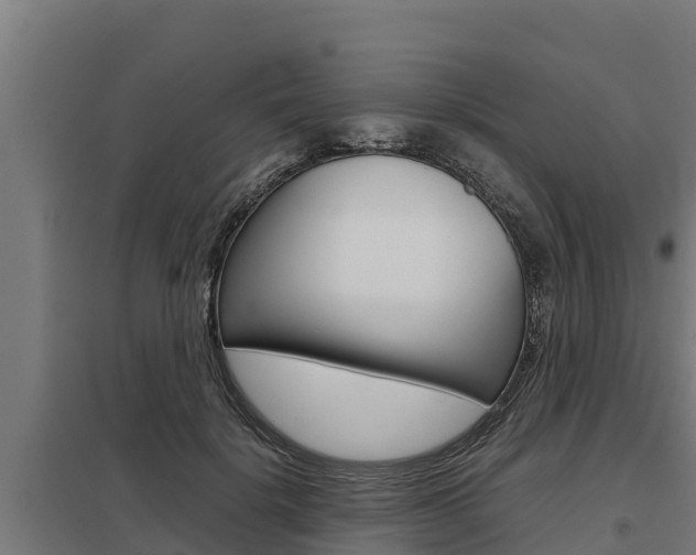 X0000098040652200803280755