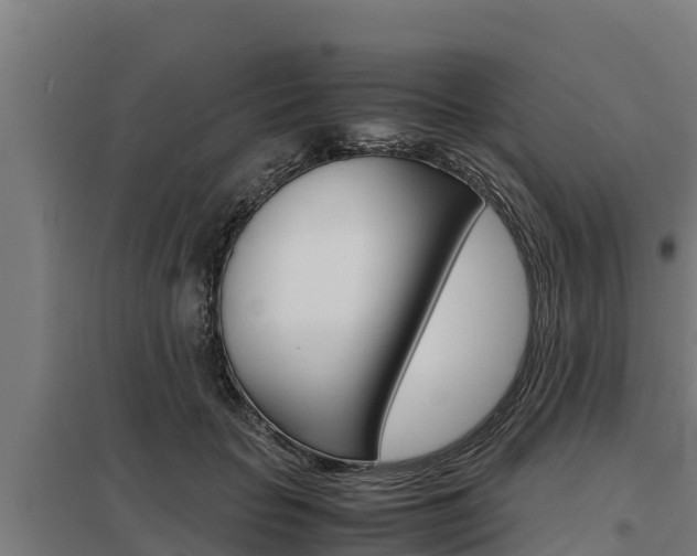 X0000098040653200803280755