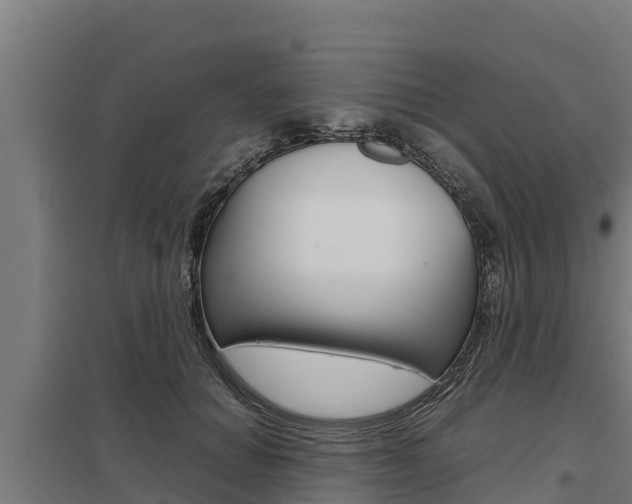 X0000098040654200803280755
