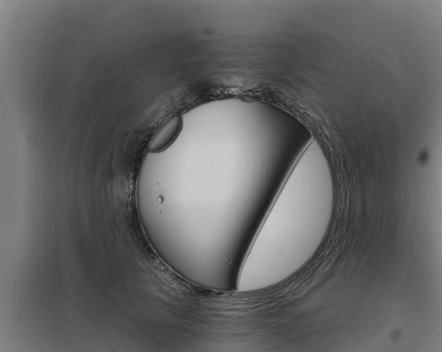 X0000098040657200803280755