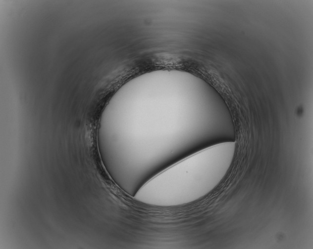 X0000098040658200803280755