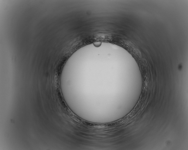 X0000098040659200803280755