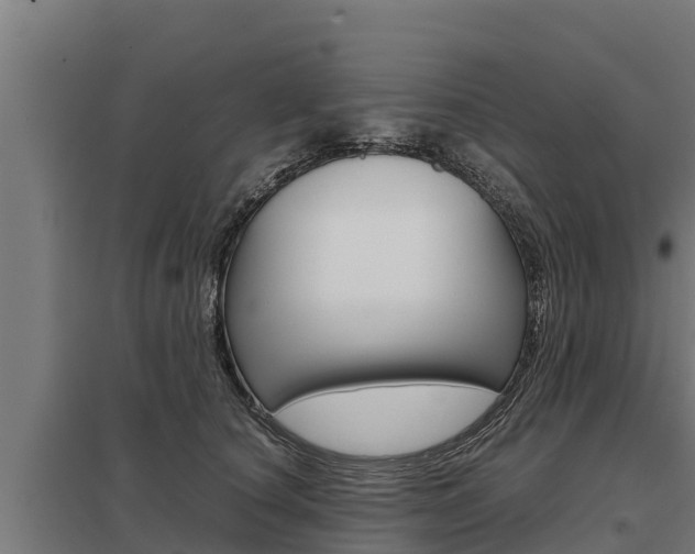 X0000098040660200803280755