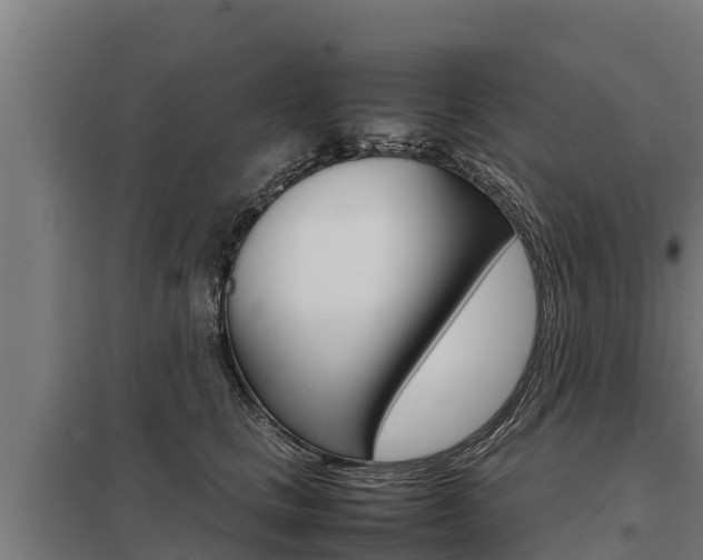 X0000098040661200803280755
