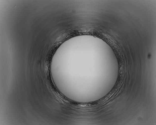 X0000098040662200803280755