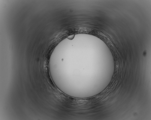 X0000098040663200803280755