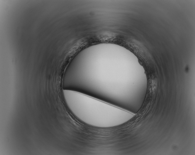 X0000098040664200803280755