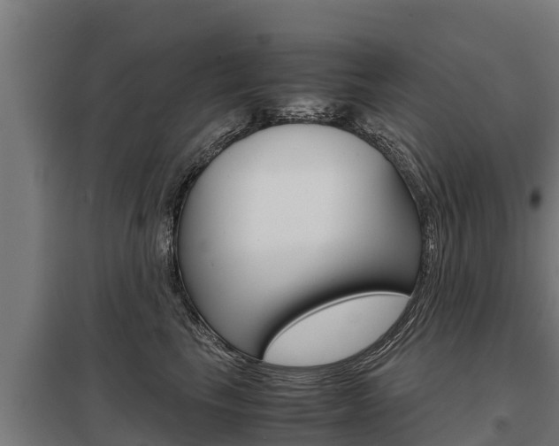 X0000098040665200803280755