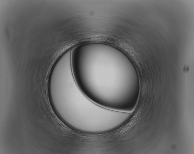 X0000098040673200803280755