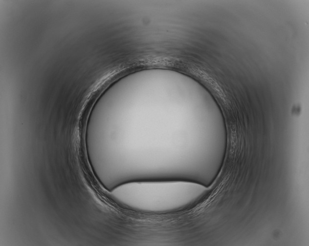 X0000098040674200803280755