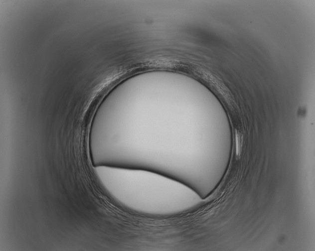 X0000098040675200803280755