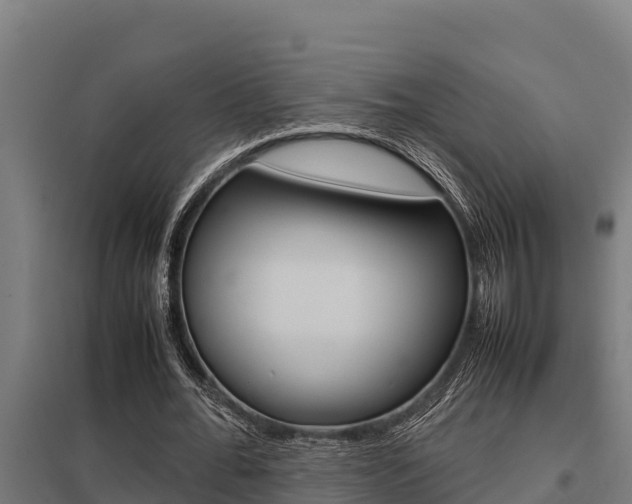 X0000098040676200803280755