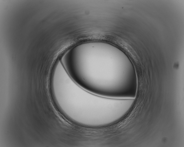 X0000098040677200803280755