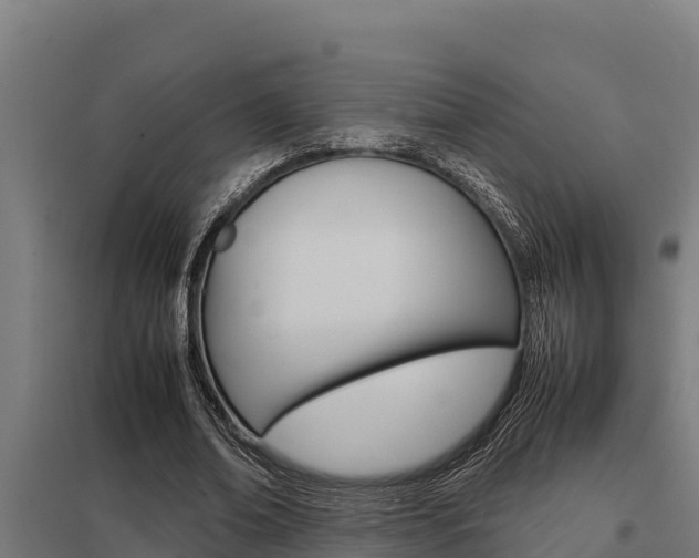 X0000098040678200803280755