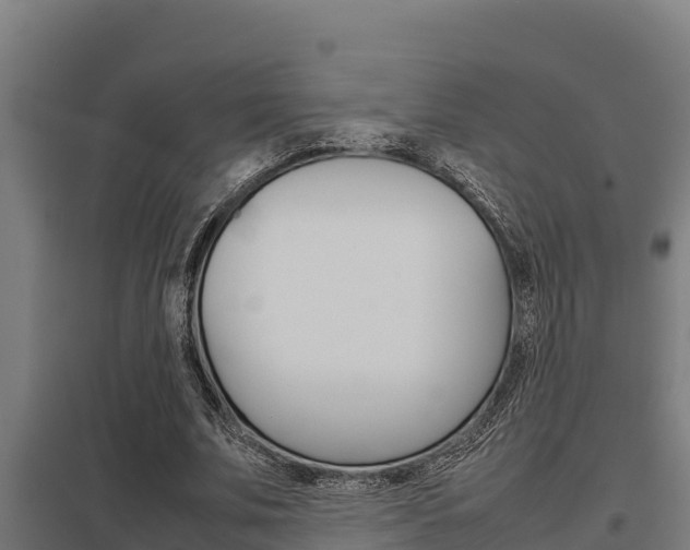 X0000098040679200803280755