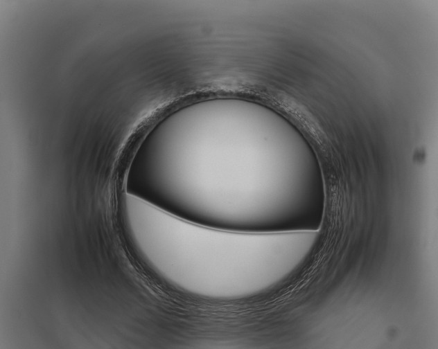 X0000098040680200803280755