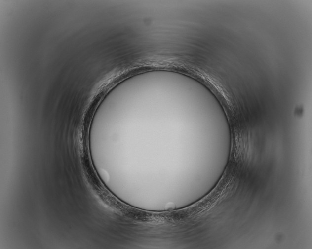 X0000098040682200803280755