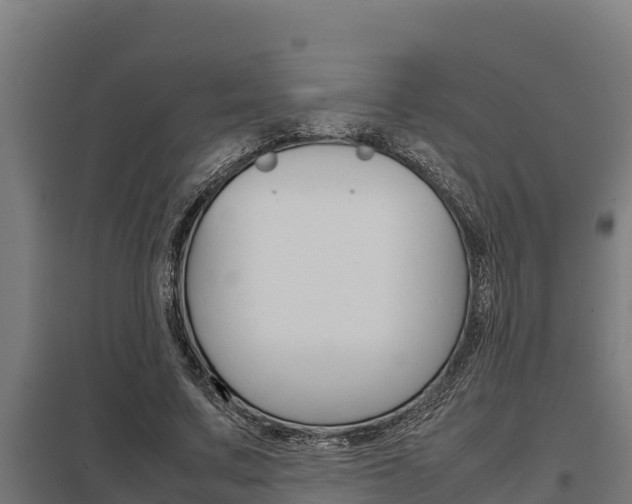 X0000098040683200803280755