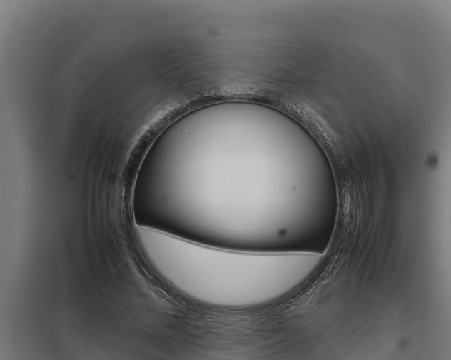 X0000098040684200803280754