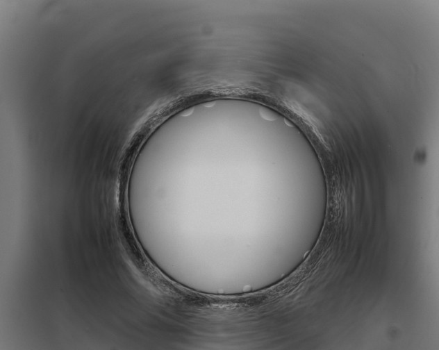 X0000098040686200803280754