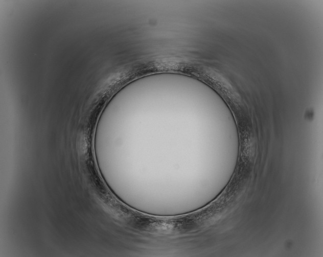 X0000098040687200803280754