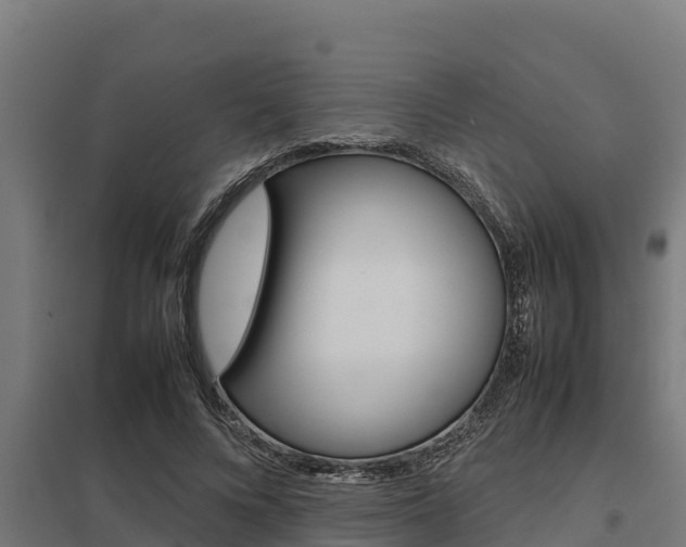 X0000098040688200803280754