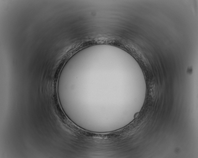 X0000098040690200803280754