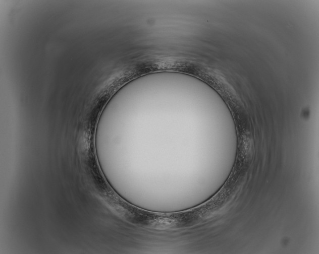 X0000098040691200803280754