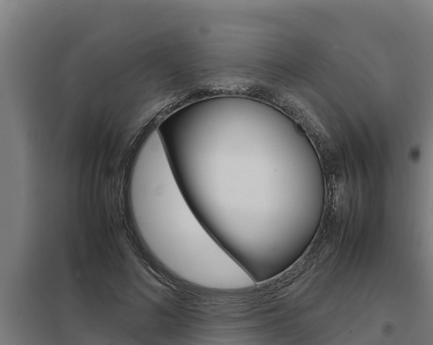 X0000098040692200803280754