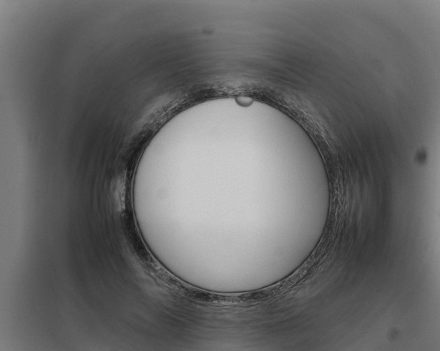 X0000098040694200803280754