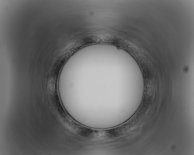 X0000098040695200803280754